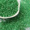 Glass Cylinder Beads SEED-L011-11B-10-1