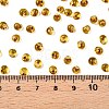 6/0 Baking Paint Transparent Fringe Glass Seed Beads X1-SEED-N006-06C-4