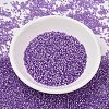 MIYUKI Delica Beads SEED-X0054-DB1343-2