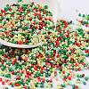 Baking Paint Glass Seed Beads SEED-S042-05B-51-1
