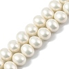 Oval Shell Pearl Beads Strands BSHE-XCP0001-21-1