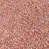TOHO 11/0 Round Beads X-SEED-TR11-0631-2