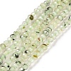 Natural Prehnite Beads Strands G-E194-06-1