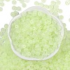 Transparent Colours Glass Seed Beads SEED-P008-01B-03-3