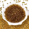 FGB Transparent Glass Seed Beads SEED-N013-01A-08-2