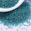 MIYUKI Delica Beads SEED-MY11-DB1248-1