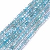 Natural Apatite Beads Strands G-G991-C03-1