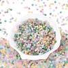 FGB Frosted Transparent Glass Seed Beads SEED-N013-02A-2
