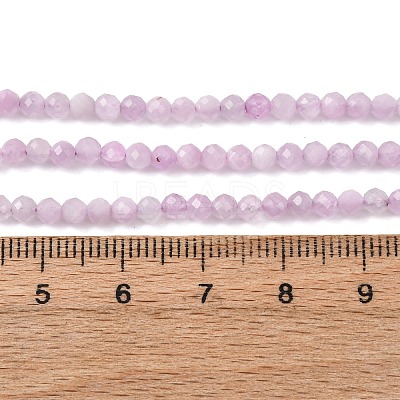 Natural Kunzite Beads Strands G-G259-D11-3mm-01-1