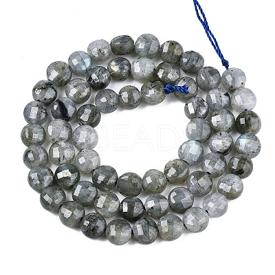Natural Labradorite Beads Strands X-G-S354-24-A-1