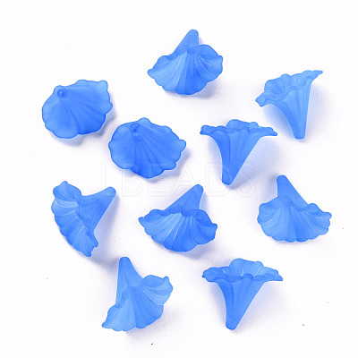 Transparent Acrylic Beads BSF796-C05-1