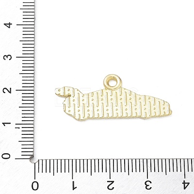 Racing Car Theme Alloy Enamel Pendants AL-CBA4666-03B-01-1
