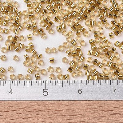 MIYUKI Delica Beads X-SEED-J020-DB2525-1