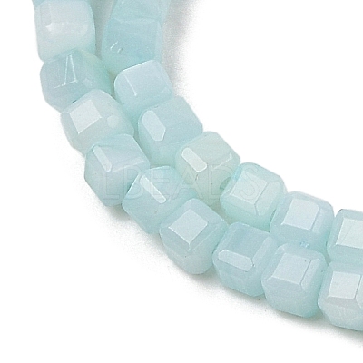 Natural Freshwater Shell Dyed Beads Strands SHEL-R100-11A-03-1