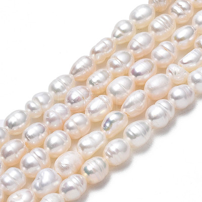 Natural Cultured Freshwater Pearl Beads Strands PEAR-N012-03B-1