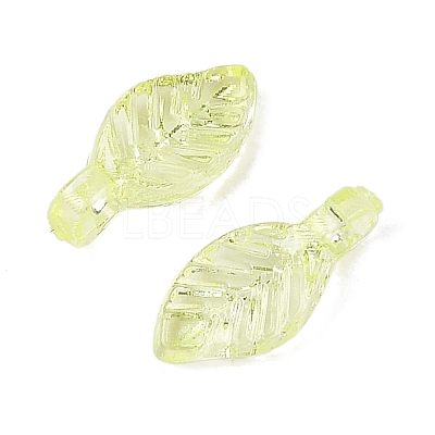 Transparent Acrylic Charms TACR-F009-11A-1
