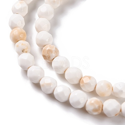 Natural Howlite Beads Strands G-C025-02B-09-1