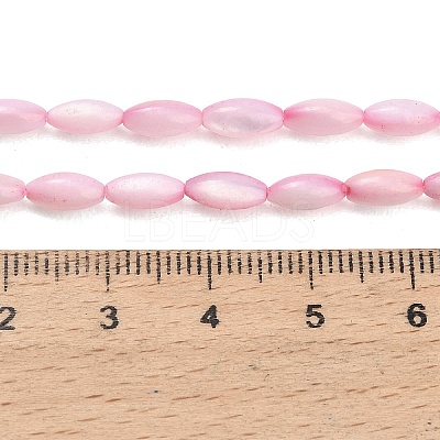 Natural Freshwater Shell Beads Strands X-SHEL-C010-01E-1