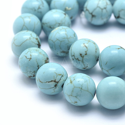 Natural Magnesite Beads Strands TURQ-G148-07-12mm-1
