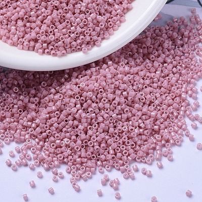 MIYUKI Delica Beads SEED-X0054-DB1906-1
