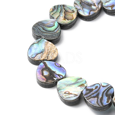 Natural Paua Shell Beads Strands SHEL-F006-04-1