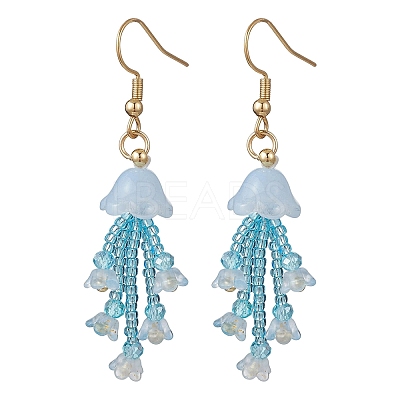 Glass Seed & Glass Beaded Dangle Earrings EJEW-MZ00687-01-1
