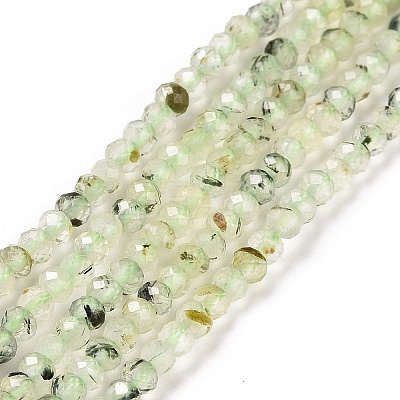 Natural Prehnite Beads Strands G-E194-06-1