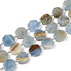 Natural Blue Calcite Beads Strands G-P534-A24-02-4