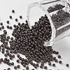 11/0 FGB Grade A Baking Paint Glass Seed Beads X-SEED-N001-A-1050-1