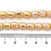 Electroplate Glass Beads Strands EGLA-D030-06D-4