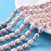 Natural Cultured Freshwater Pearl Beads Strands PEAR-N012-07H-5