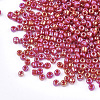 Opaque Glass Seed Beads SEED-S023-01A-05-2