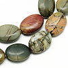 Natural Polychrome Jasper/Picasso Stone/Picasso Jasper Beads Strands G-Q948-83-13x18-1