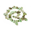 Natural Chrysoprase Beads Strands G-F645-16-2