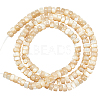  1 Strand Natural Trochid Shell/Trochus Shell Beads Strands BSHE-NB0001-18-1