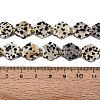 Natural Dalmatian Jasper Beads Strands G-N368-01A-03-5