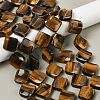 Natural Tiger Eye Beads Strands G-L239-19-2