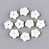 Natural Freshwater Shell Carved Beads SHEL-N038-36-1