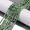 Natural Variscite Beads Strands G-G188-B05-03-2