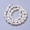 Polished Shell Pearl Beads Strands X-BSHE-L042-A02-3