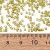 Glass Seed Beads GL-CBA5413-02B-3