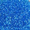 Transparent Colours Glass Seed Beads SEED-P006-02A-08-3
