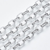 Tarnish Resistant 304 Stainless Steel Paperclip Chains CHS-S001-05A-P-1