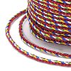 Multi-Color Decorative Nylon Twisted Cord NWIR-Z003-E09-2