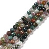 Natural Indian Agate Beads Strands G-E571-24A-1