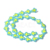 Baking Paint Glass Enamel Beads BLOW-D300-06R-2
