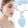 5 Pairs 925 Sterling Silver Earring Hooks STER-BBC0006-49S-2