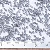MIYUKI Delica Beads SEED-MY11-DB1570-4