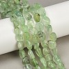 Natural Prehnite Beads Strands G-R445-8x10-25-01-1