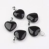 Natural Black Agate Pendants G-G956-B04-FF-1